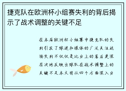 捷克队在欧洲杯小组赛失利的背后揭示了战术调整的关键不足