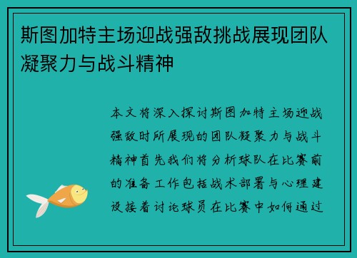 斯图加特主场迎战强敌挑战展现团队凝聚力与战斗精神