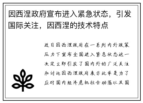 因西涅政府宣布进入紧急状态，引发国际关注，因西涅的技术特点