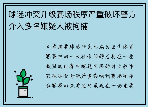 球迷冲突升级赛场秩序严重破坏警方介入多名嫌疑人被拘捕